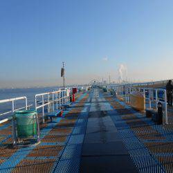 オリジナルメーカー海づり公園(市原市海づり施設) 釣果