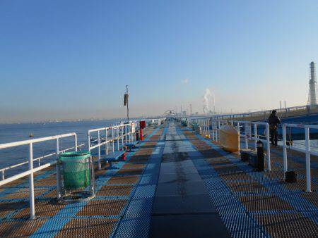 オリジナルメーカー海づり公園(市原市海づり施設) 釣果