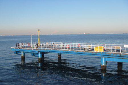 オリジナルメーカー海づり公園(市原市海づり施設) 釣果