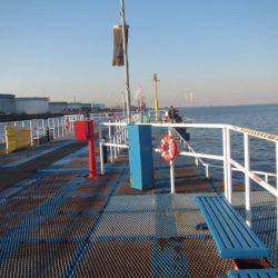 オリジナルメーカー海づり公園(市原市海づり施設) 釣果