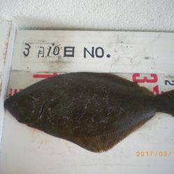 姫路市立遊魚センター 釣果