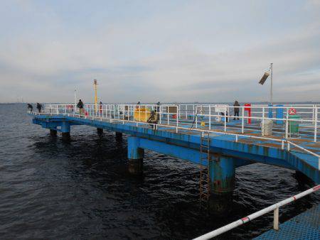 オリジナルメーカー海づり公園(市原市海づり施設) 釣果