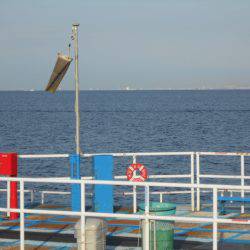 オリジナルメーカー海づり公園(市原市海づり施設) 釣果