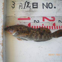 姫路市立遊魚センター 釣果