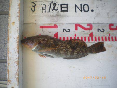 姫路市立遊魚センター 釣果