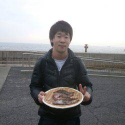 大阪南港海つり公園 釣果