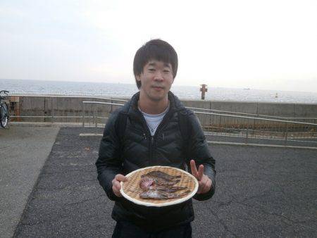 大阪南港海つり公園 釣果