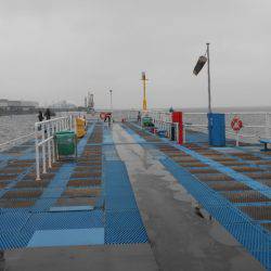 オリジナルメーカー海づり公園(市原市海づり施設) 釣果