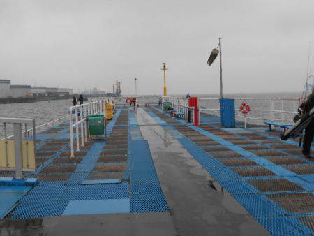 オリジナルメーカー海づり公園(市原市海づり施設) 釣果