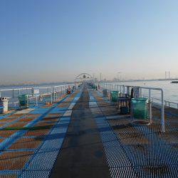 オリジナルメーカー海づり公園(市原市海づり施設) 釣果