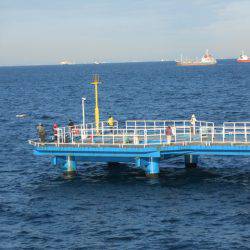 オリジナルメーカー海づり公園(市原市海づり施設) 釣果