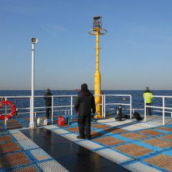 オリジナルメーカー海づり公園(市原市海づり施設) 釣果