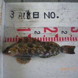 姫路市立遊魚センター 釣果