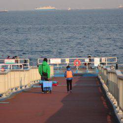 オリジナルメーカー海づり公園(市原市海づり施設) 釣果