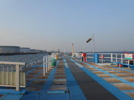 オリジナルメーカー海づり公園(市原市海づり施設) 釣果