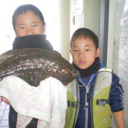 姫路市立遊魚センター 釣果