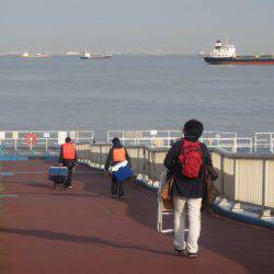 オリジナルメーカー海づり公園(市原市海づり施設) 釣果