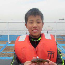 オリジナルメーカー海づり公園(市原市海づり施設) 釣果