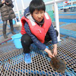 オリジナルメーカー海づり公園(市原市海づり施設) 釣果