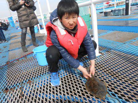 オリジナルメーカー海づり公園(市原市海づり施設) 釣果