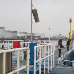 オリジナルメーカー海づり公園(市原市海づり施設) 釣果