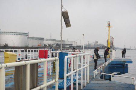 オリジナルメーカー海づり公園(市原市海づり施設) 釣果