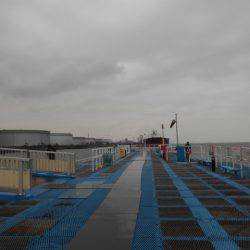 オリジナルメーカー海づり公園(市原市海づり施設) 釣果