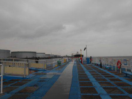 オリジナルメーカー海づり公園(市原市海づり施設) 釣果