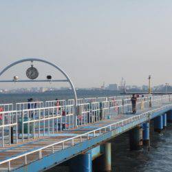 オリジナルメーカー海づり公園(市原市海づり施設) 釣果