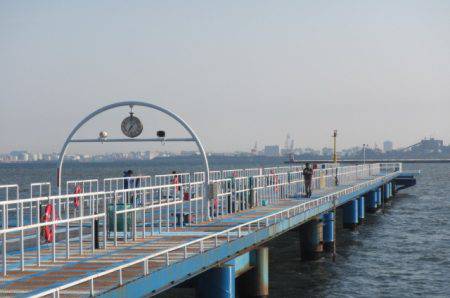 オリジナルメーカー海づり公園(市原市海づり施設) 釣果