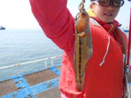 オリジナルメーカー海づり公園(市原市海づり…