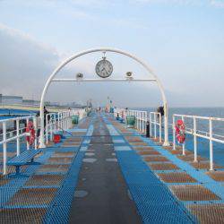 オリジナルメーカー海づり公園(市原市海づり施設) 釣果