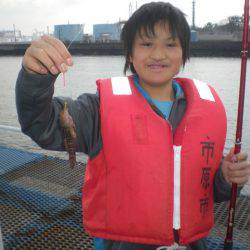 オリジナルメーカー海づり公園(市原市海づり施設) 釣果