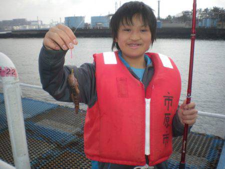 オリジナルメーカー海づり公園(市原市海づり施設) 釣果
