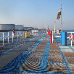 オリジナルメーカー海づり公園(市原市海づり施設) 釣果