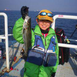 オリジナルメーカー海づり公園(市原市海づり施設) 釣果