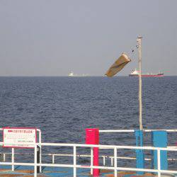 オリジナルメーカー海づり公園(市原市海づり施設) 釣果