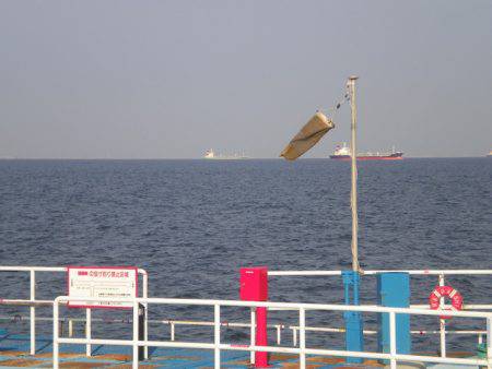 オリジナルメーカー海づり公園(市原市海づり施設) 釣果