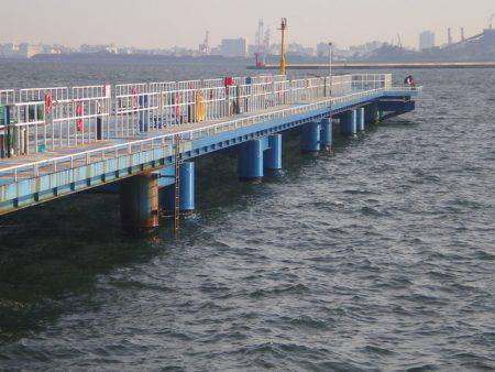 オリジナルメーカー海づり公園(市原市海づり施設) 釣果