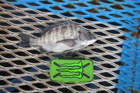 オリジナルメーカー海づり公園(市原市海づり…