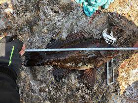 第八有漁丸 釣果