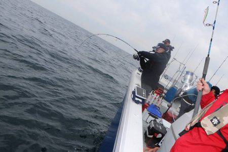 スカイマリン 釣果