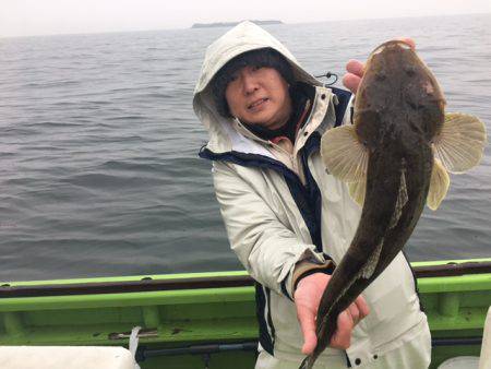 深川　吉野屋 釣果