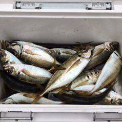 深川 吉野屋 釣果