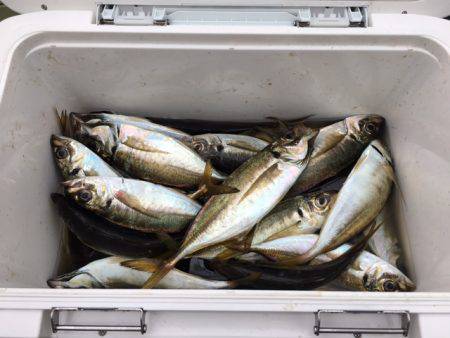 深川 吉野屋 釣果