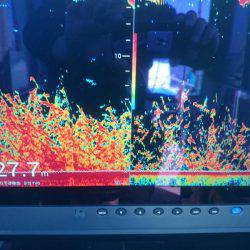 深川 吉野屋 釣果