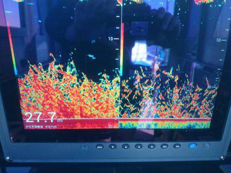 深川 吉野屋 釣果