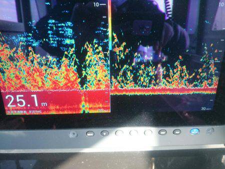 深川　吉野屋 釣果