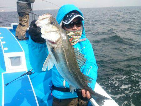 深川　吉野屋 釣果