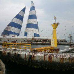 深川 吉野屋 釣果